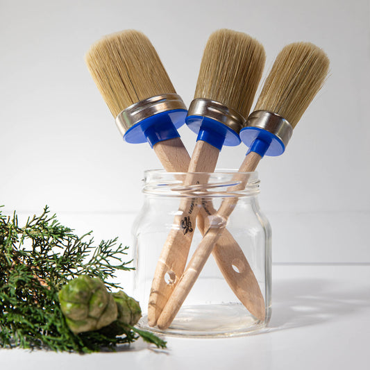 Natural Bristle Brushes